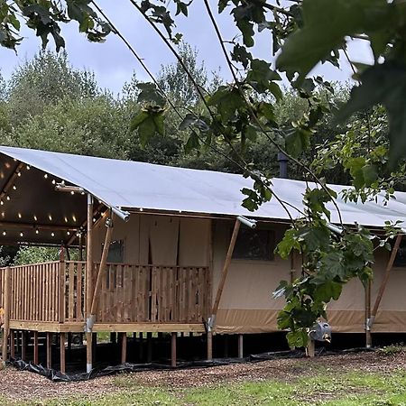 Cherry Tree Safari Lodge Talaton Exterior foto